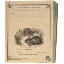 Le Chinchilla - Histoire naturelle n°305.