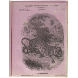 Le Tigre royal - Histoire naturelle n°75.