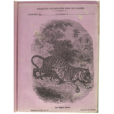 Le Tigre royal - Histoire naturelle n°75.