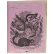 L'Écureuil.