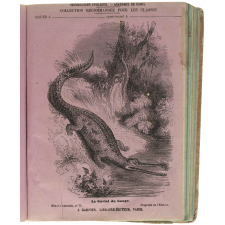 Le Gavial du Gange - Histoire naturelle n°73.