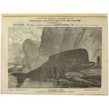 Le Cétacé à bec - Histoire naturelle n°251.