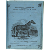 Le Cheval arabe - Le Poney de Shetland - Le cheval anglais - Histoire naturelle n°226.