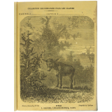 L'Ane - Histoire naturelle n°120.