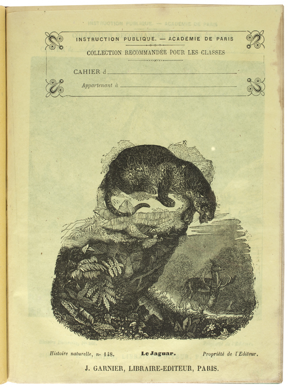 Le Jaguar - Histoire naturelle n°148.