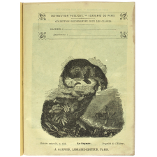 Le Jaguar - Histoire naturelle n°148.