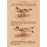 Manuel de gymnastique (première partie) et des exercices militaires.