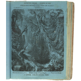 Forêt vierge d'Amérique - Merveilles de la nature n°14.