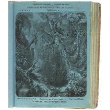 Forêt vierge d'Amérique - Merveilles de la nature n°14.