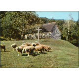 Image religieuse. La bergerie de Bartrès. 
