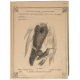 Le Colibri - Histoire naturelle n°303.