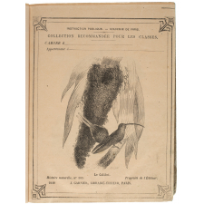 Le Colibri - Histoire naturelle n°303.