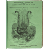 Le Menure-Lyre - Histoire naturelle n°154.