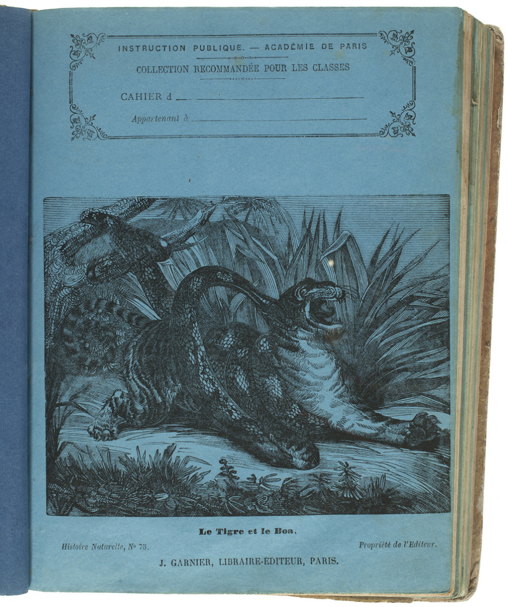 Le Tigre et le boa - Histoire naturelle n°75.