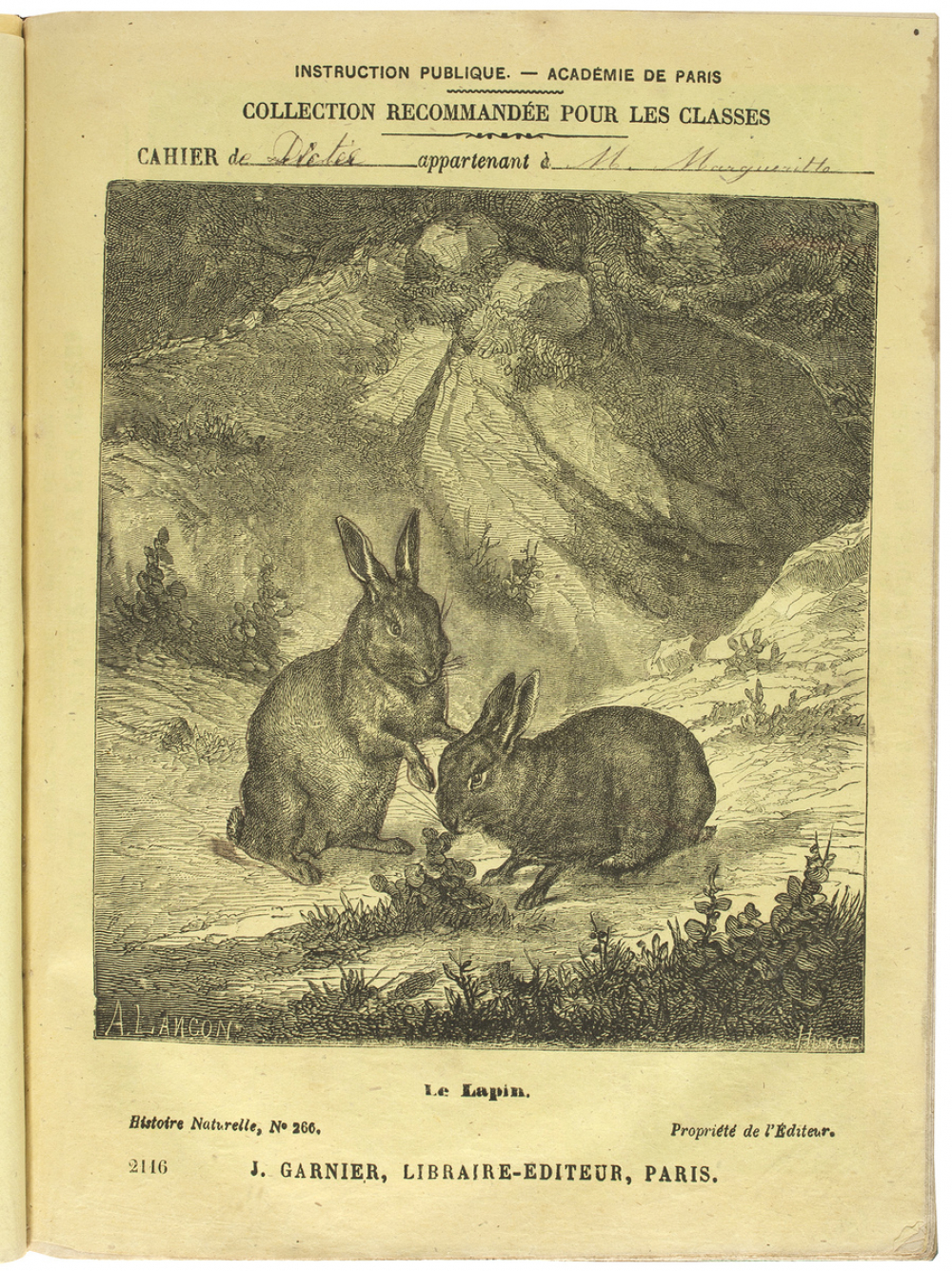 Le Lapin - Histoire naturelle n°266.
