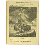 Le Lapin - Histoire naturelle n°266.