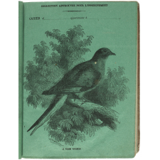 Le Pigeon voyageur.