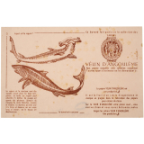 Buvard publicitaire. Cahiers Vélin d'Angoulême. Le requin et le marteau.