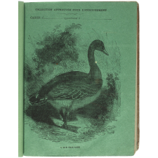 L'Oie sauvage.