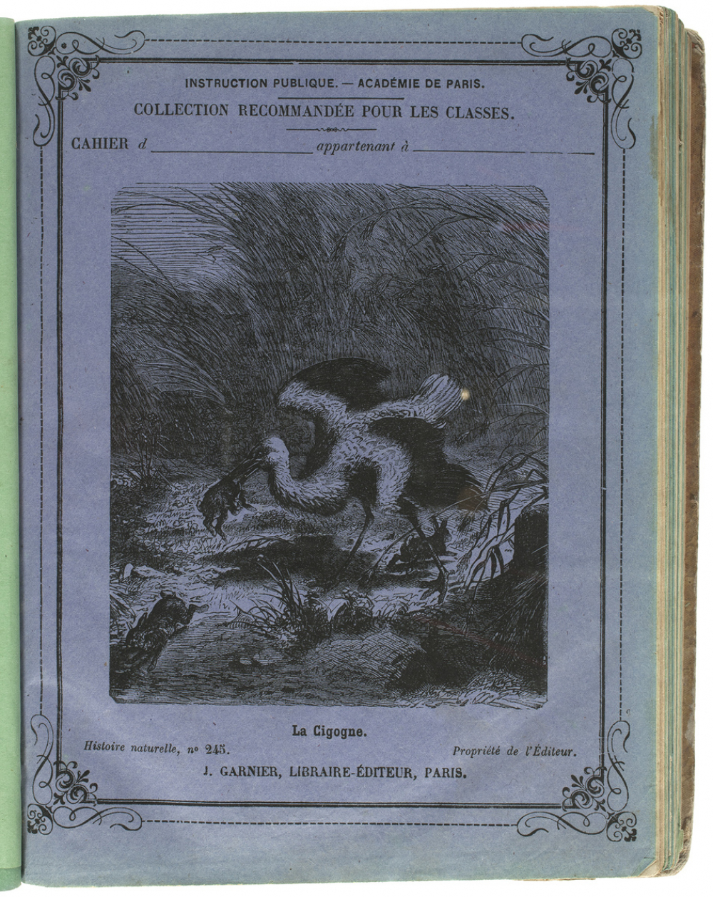 La Cigogne - Histoire naturelle n°245.