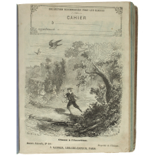 Chasse à l'émerillon - Histoire naturelle n°207.