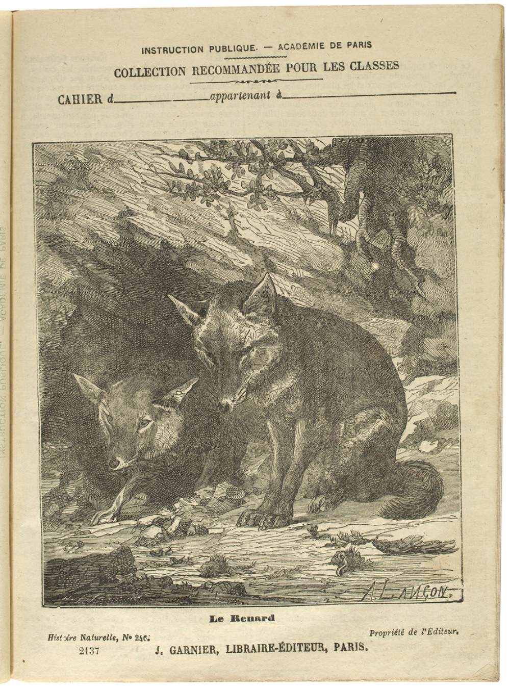 Le Renard - Histoire naturelle n°246.