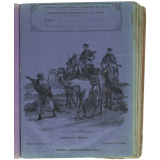 L'Arabie et le chameau - Histoire naturelle n°117.