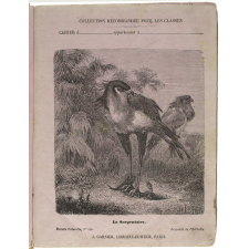 Le Serpentaire - Histoire naturelle n°248.