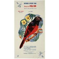Buvard publicitaire. Margarine Pel'Or. Grand Minivet (Indochine).