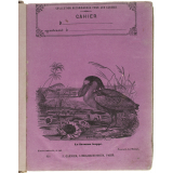 Le Savacou huppé - Histoire naturelle n°143.