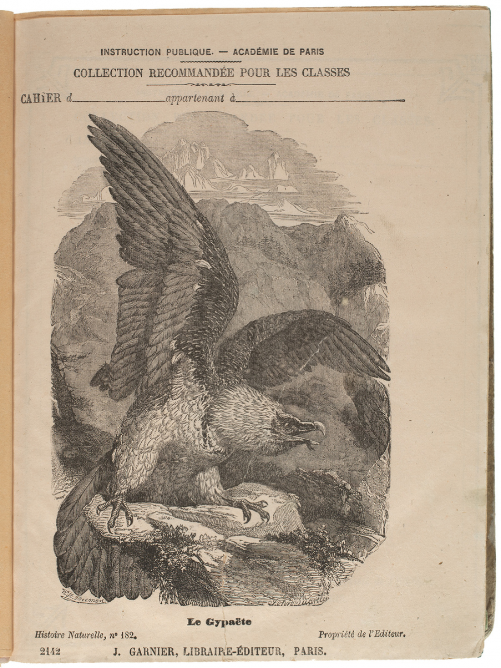 Le Gypaëte - Histoire naturelle n°182.
