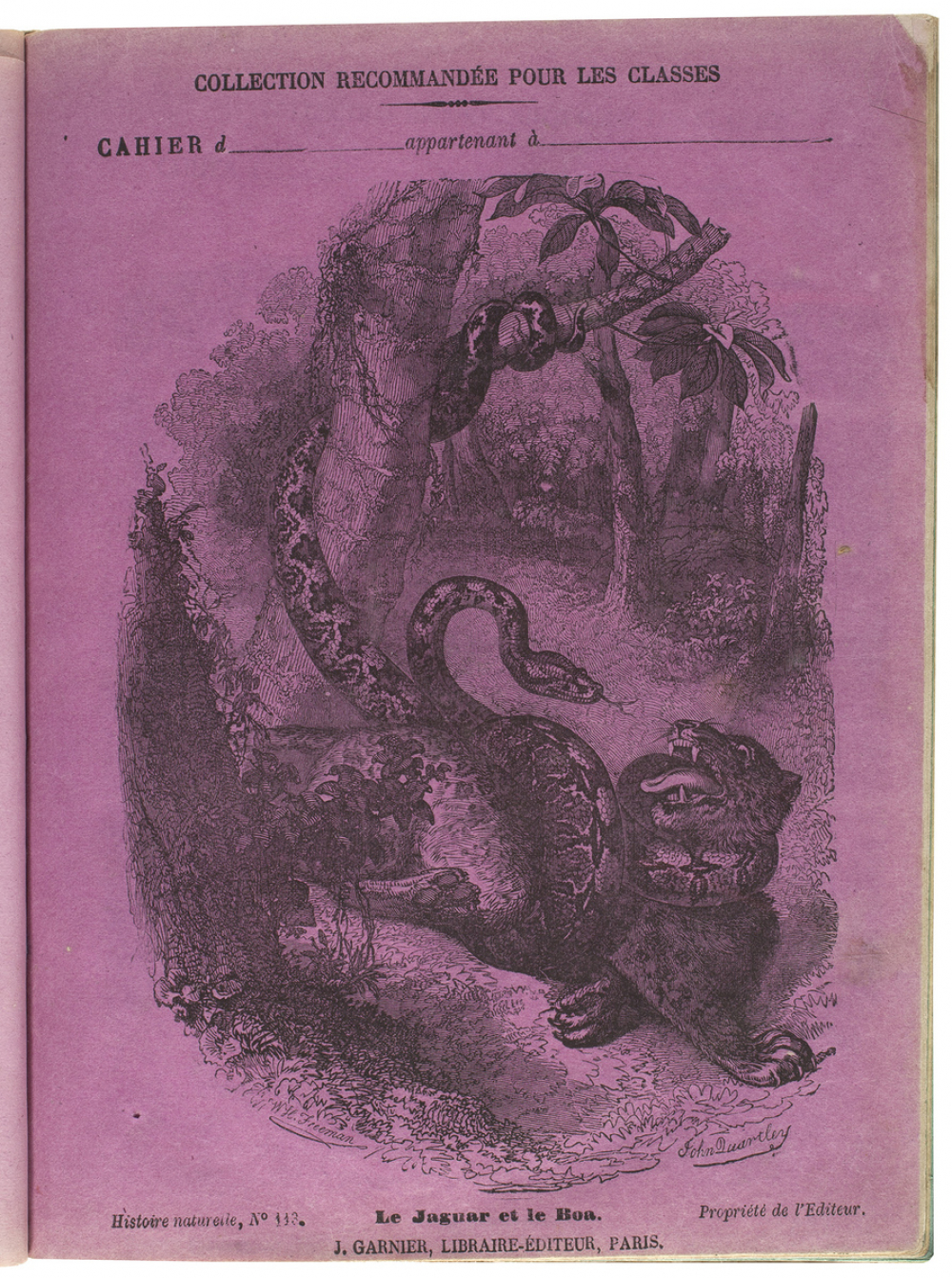 Le Jaguar et le boa - Histoire naturelle n°113.