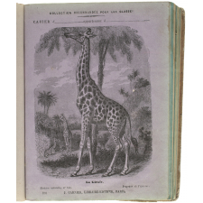 La Girafe - Histoire naturelle n°150.