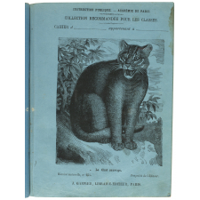 Le Chat sauvage - Histoire naturelle n°254.