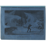 L'Ours blanc - Les mers de glace - Histoire naturelle n°263.