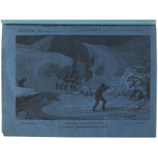 L'Ours blanc - Les mers de glace - Histoire naturelle n°263.