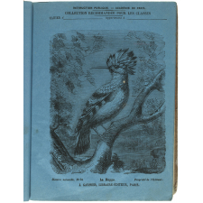 La Huppe - Histoire naturelle n°34.