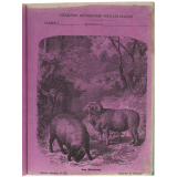 Les Moutons - Histoire naturelle n°152.