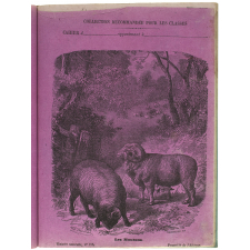 Les Moutons - Histoire naturelle n°152.