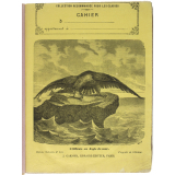 L'Offraie ou Aigle de mer - Histoire naturelle n°242.