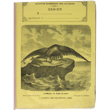 L'Offraie ou Aigle de mer - Histoire naturelle n°242.