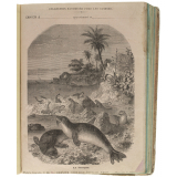 Le Phoque - Histoire naturelle n°92.