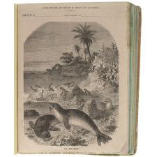 Le Phoque - Histoire naturelle n°92.