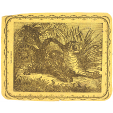 Tigre et boa.