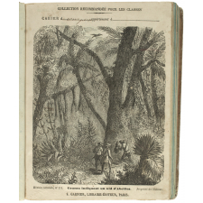 Coucou indiquant un nid d'abeilles - Histoire naturelle n°111.
