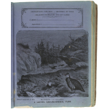 La Perdrix et la Bartavelle - Histoire naturelle n°265.