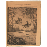 La Bécasse - Histoire naturelle n°255.