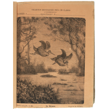 La Bécasse - Histoire naturelle n°255.