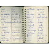 Allemand : carnet de vocabulaire