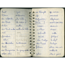 Allemand : carnet de vocabulaire